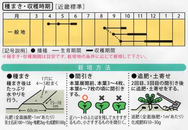 旭山辛味大根の種蒔き時期　★栽培時期の表は一般地用です